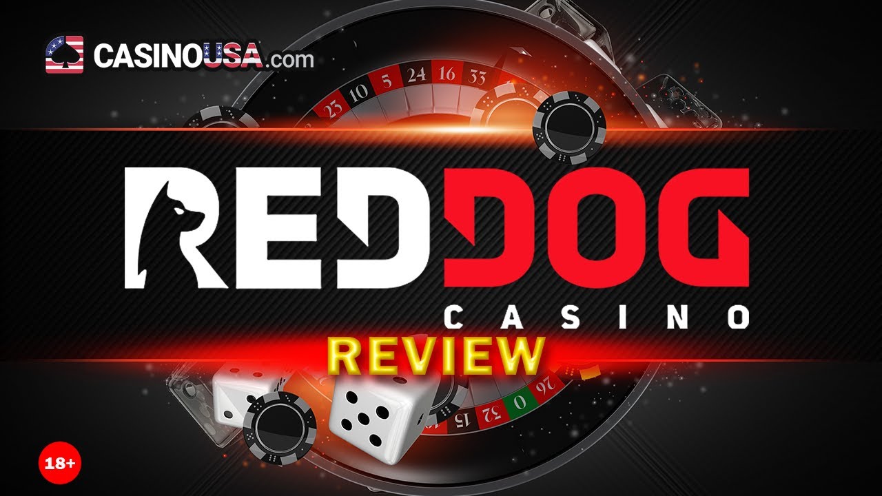 Red Dog Casino Review - Watch This before Playing - RedDog Casino ...